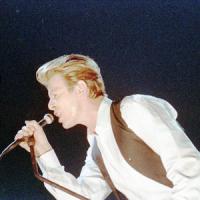 David Bowie, quel concerto a Bagnoli 