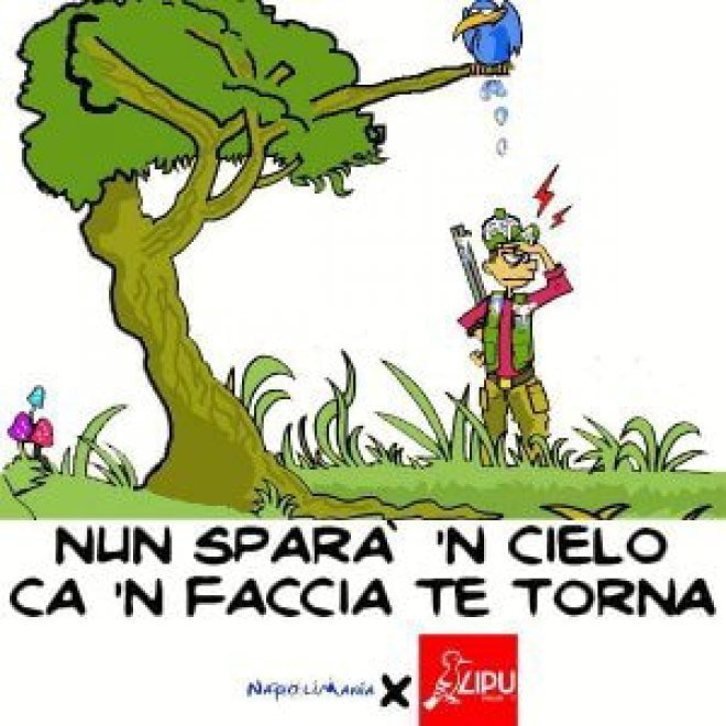 Chi Sputa In Cielo In Faccia Torna Frasi