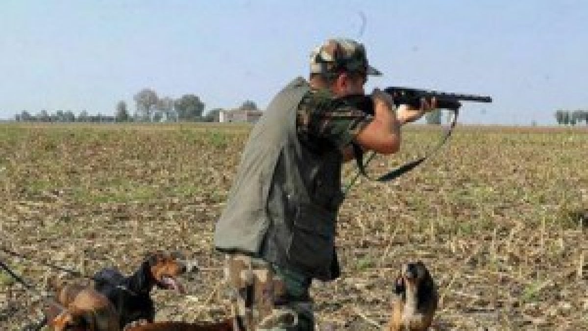 Quando Si Apre La Caccia In Campania