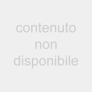 I personaggi di tale e quale