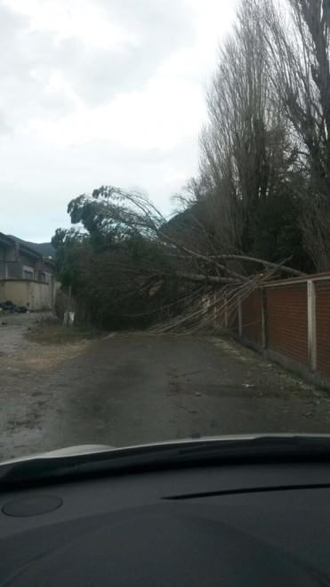 Maltempo sull'Italia, le foto da Twitter