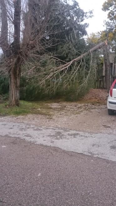Maltempo sull'Italia, le foto da Twitter