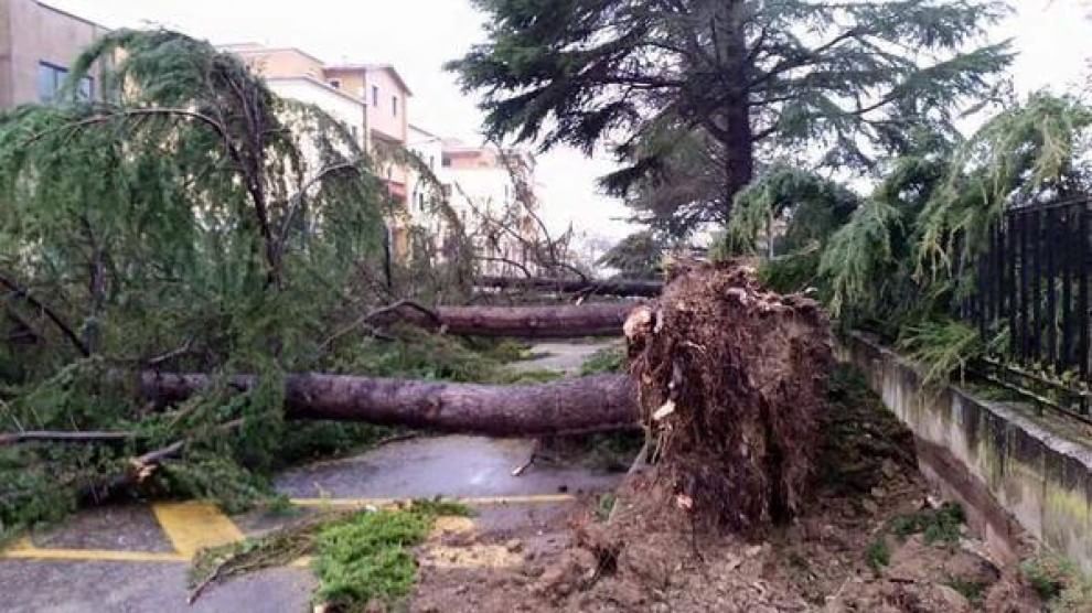 Maltempo sull'Italia, le foto da Twitter