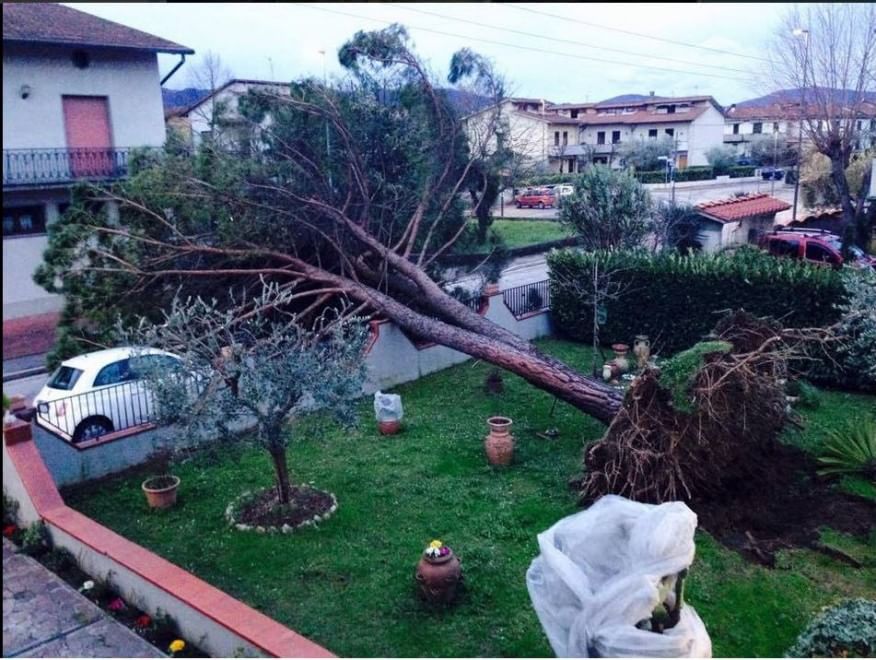 Maltempo sull'Italia, le foto da Twitter