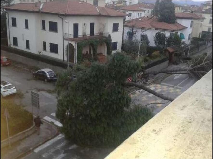 Maltempo sull'Italia, le foto da Twitter