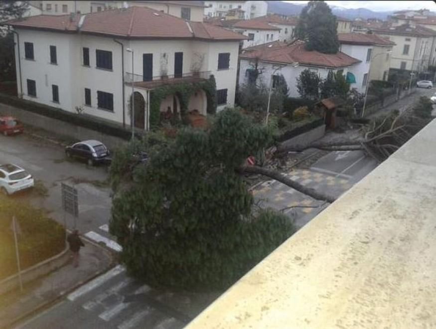 Maltempo sull'Italia, le foto da Twitter