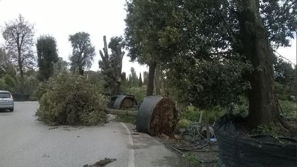 Maltempo sull'Italia, le foto da Twitter