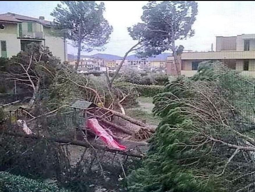 Maltempo sull'Italia, le foto da Twitter