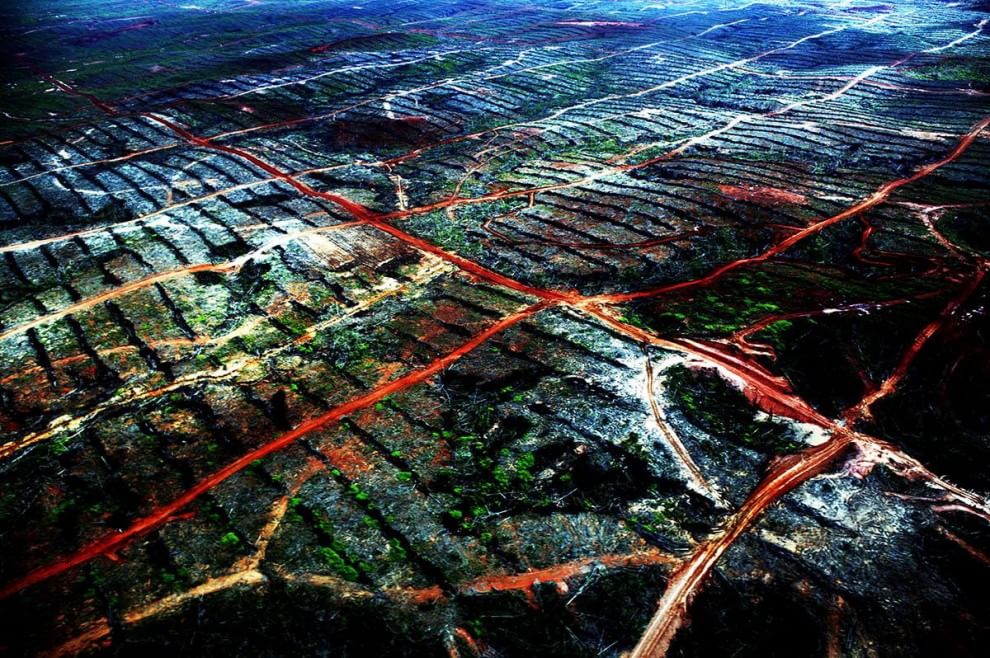 Il clima che cambia si mette in mostra. Gli effetti negli scatti d'autore