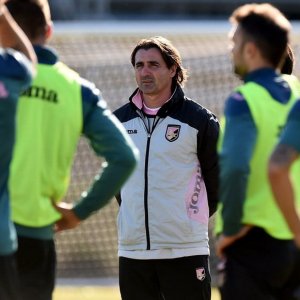 Palermo, Tedesco: "Un sogno essere qui, alla squadra serve continuità"