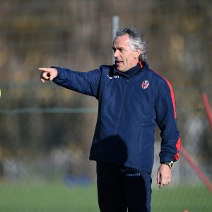 Bologna, Donadoni: "Pensiamo a noi stessi, non al mercato della Samp"