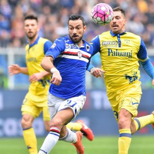 Sampdoria, Quagliarella: "Col Chievo era da vincere, rimbocchiamoci le maniche"