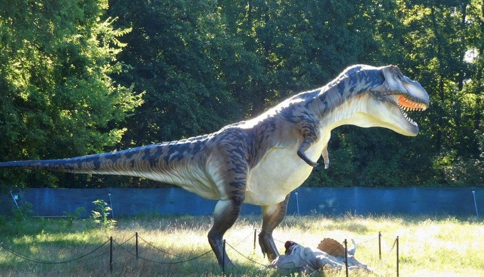 Io Sono Uno Dei Dinosauri Da Distruggere