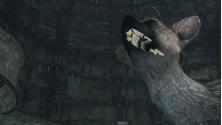The Last Guardian. Quando i videogame diventano arte 