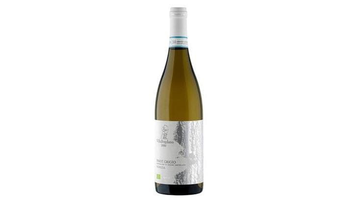 Pinot Grigio delle Venezie 2018
