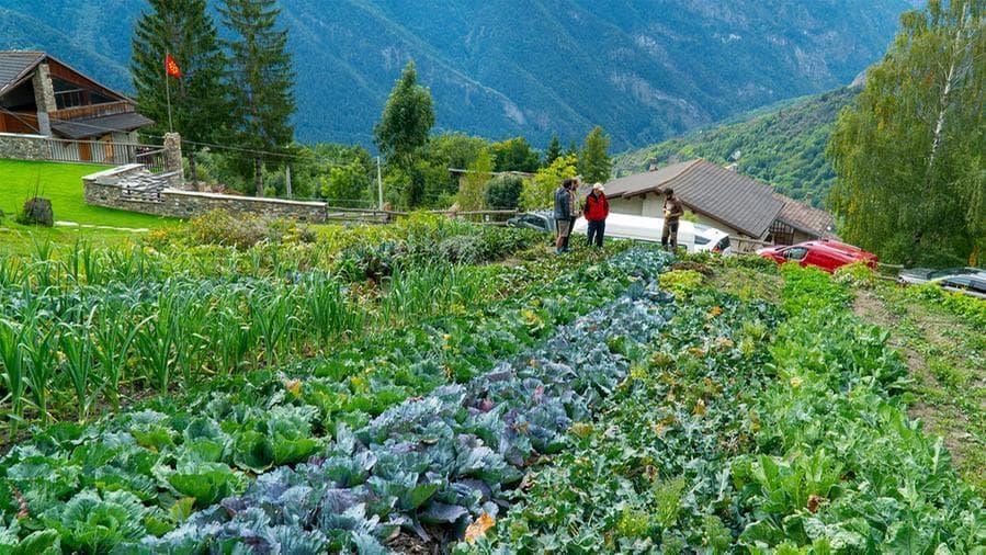 L'orto dell'agriturismo Al Chersogno (@Andrea Buonopane)
