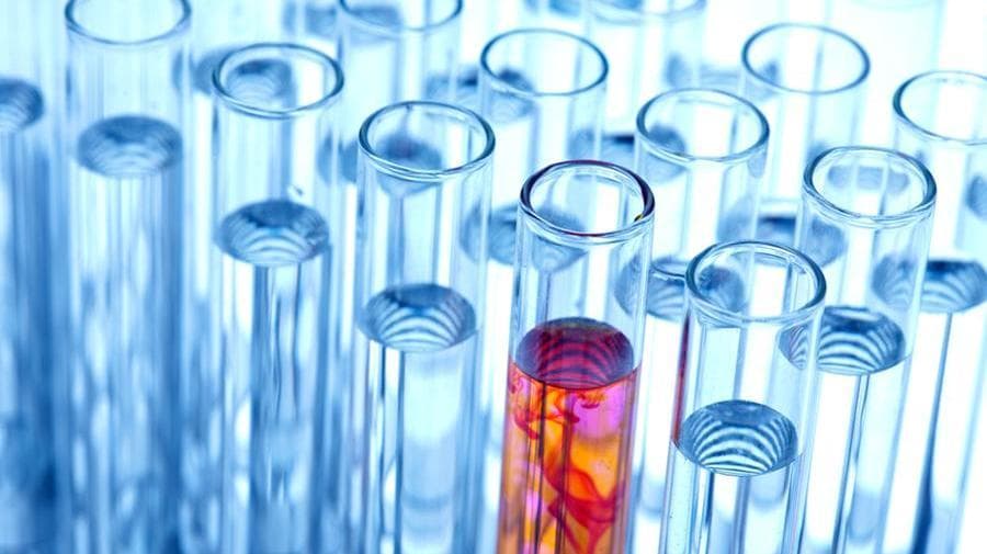 Dalle colonie cellulari nuove conoscenze su come nascono ed evolvono i tumori