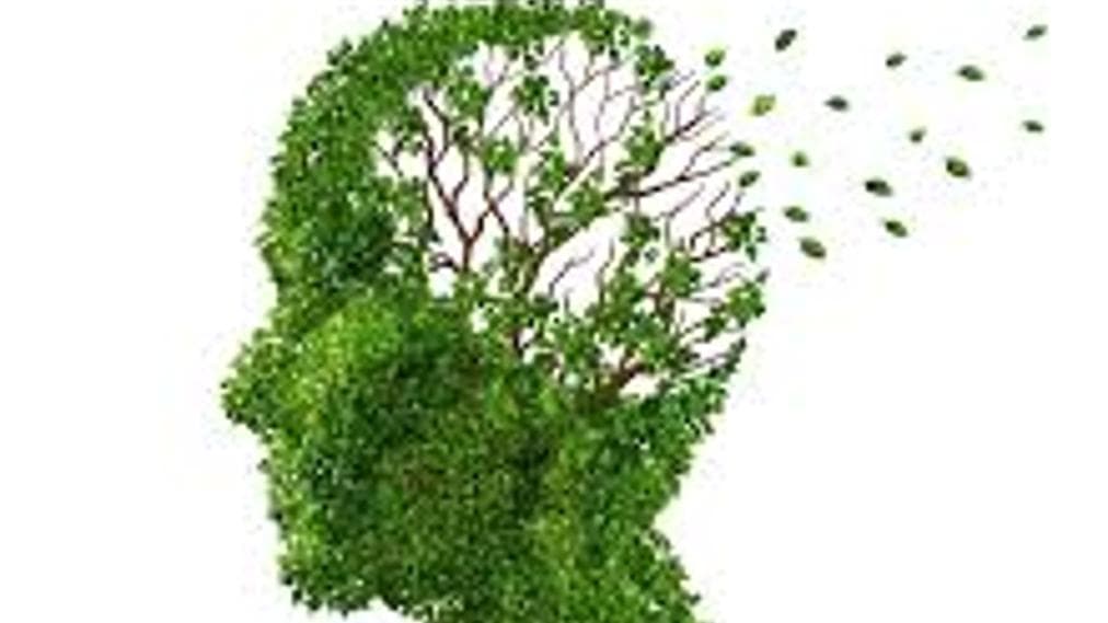 Alzheimer, gli antibiotici ne rallentano la progressione