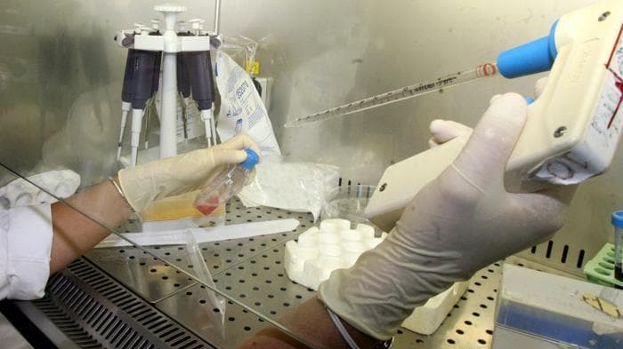 Farmaco antitumorale efficace contro Alzheimer