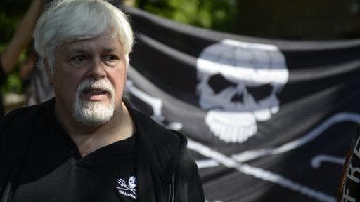 Mandato di arresto Interpol per ecologista Paul Watson
