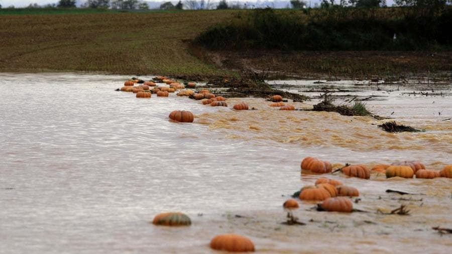 Clima, agricoltura italiana in crisi