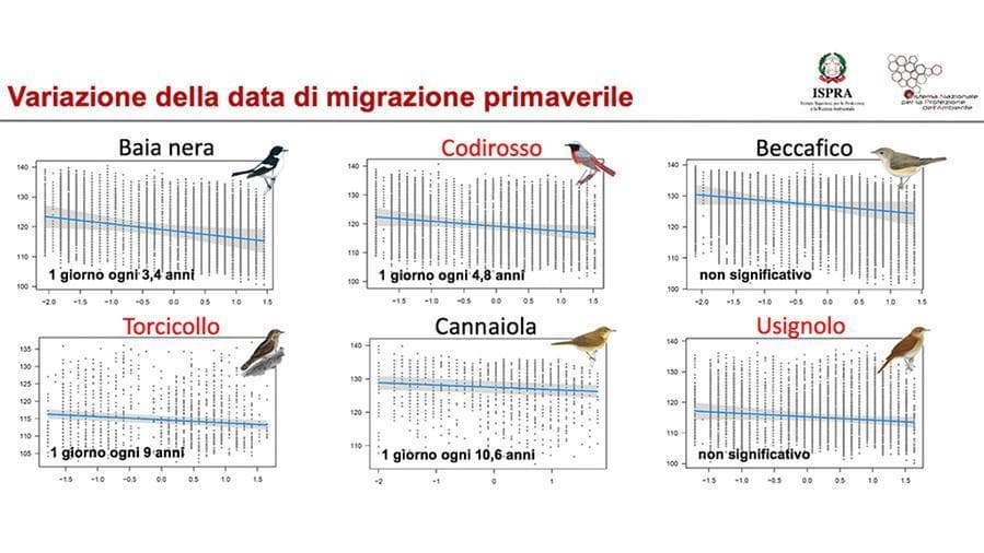 Cambia il clima e gli uccelli migrano prima - La Stampa