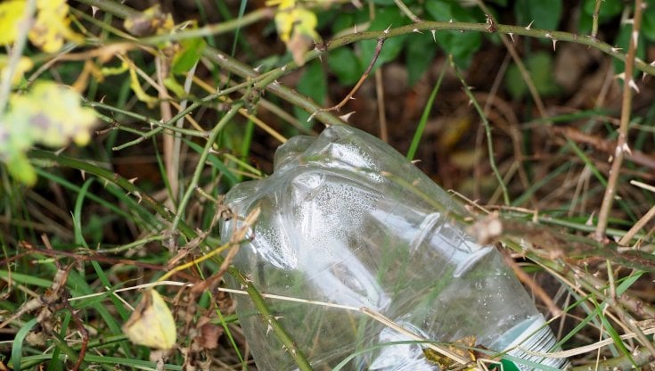 Plastica, il super enzima nemico del Pet