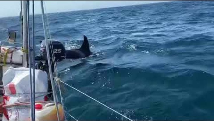 Nel Faro Delle Orche Il Bambino Muore