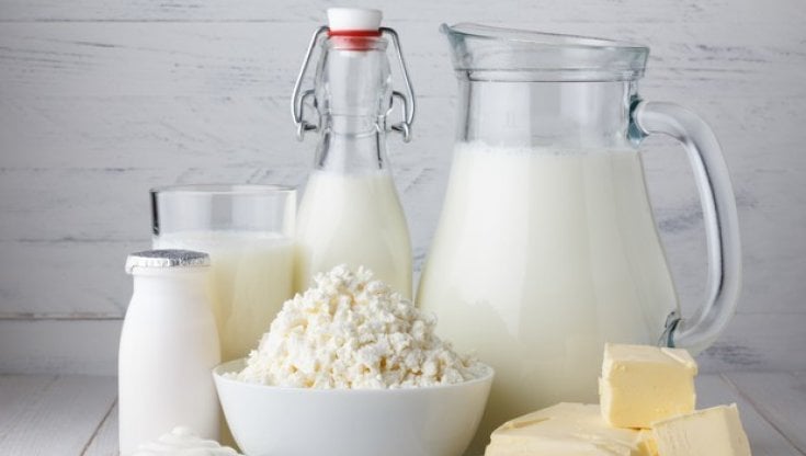 Latte e latticini, perché non devono mancare mai a tavola
