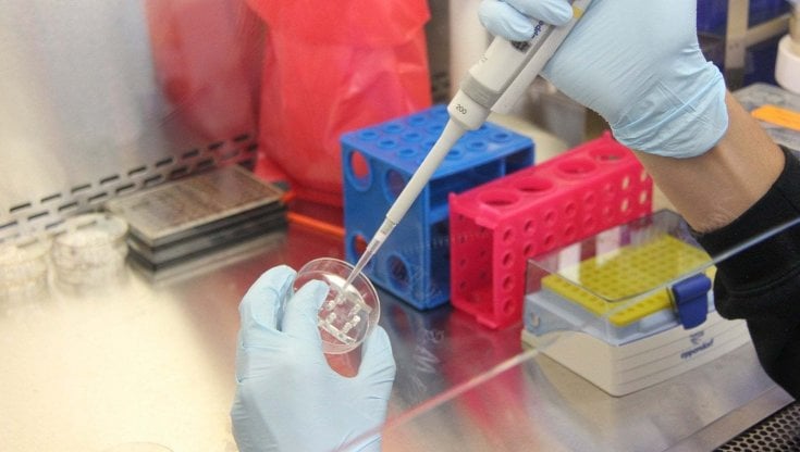 Vaccino Covid, perché è utile la dose singola