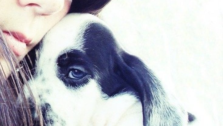 Così un cane può aiutare contro l'autismo