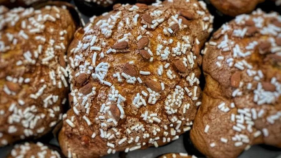 La colomba di Vincenzo Tiri
