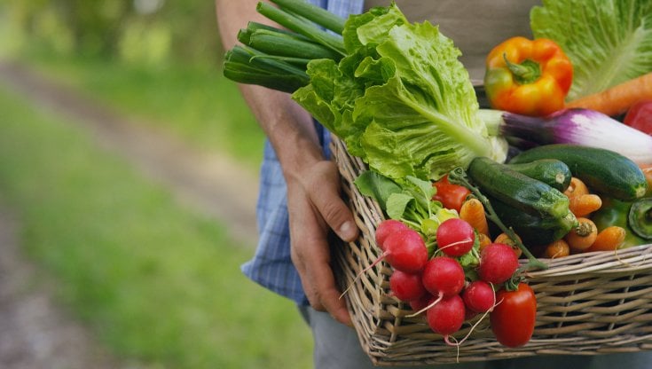 Sempre pi&ugrave; cibo green e salutare nell'alimentazione giornaliera dei tedeschi&nbsp;
