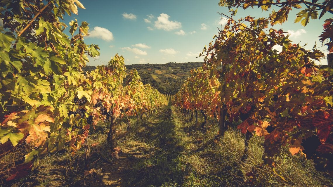 In Oriente chiedono vini a basso contenuto di alcol? "Ben vengano le mode, vuol dire che il vino &egrave; trendy"&nbsp;