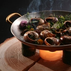 Le lumache allevate a suon di musica lirica  che piacciono ai grandi chef