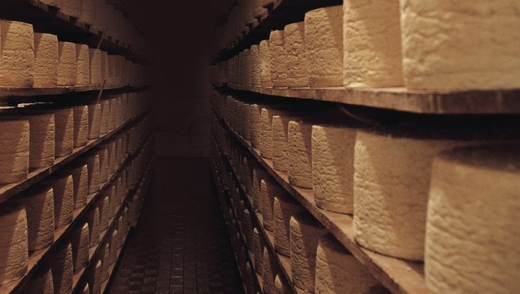 Mario Costa fece costruire tutti i suoi stabilimenti per avere abbastanza spazio per far riposare e stagionare i suoi Gorgonzola&nbsp;