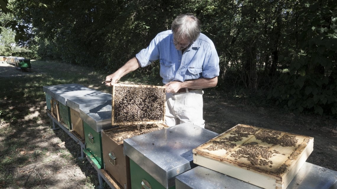 Un apicoltore al lavoro
