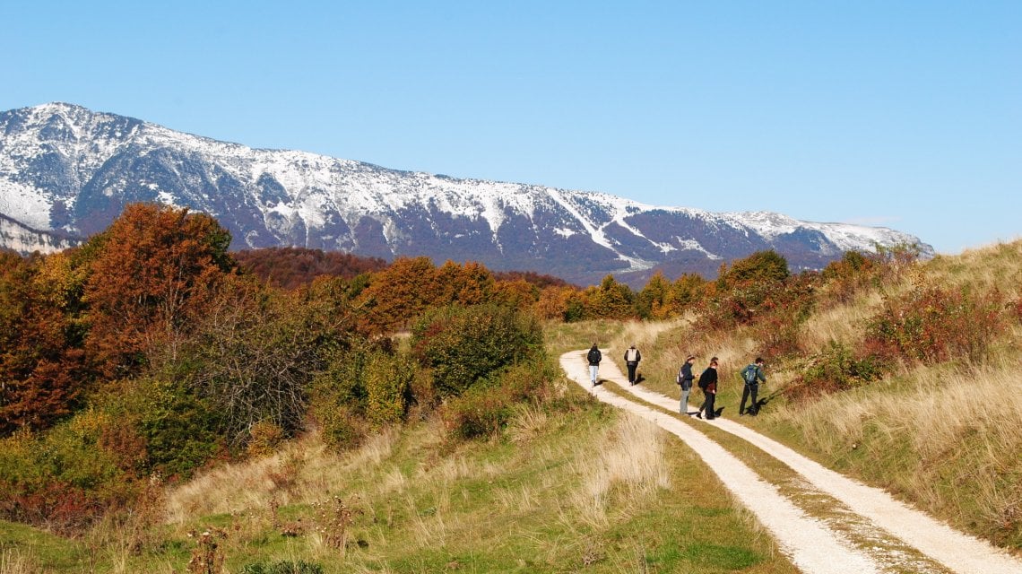 La Vallagarina &egrave; la protagonista ambientale di questo progetto, che raccoglie attori da tutta Italia, comprese le arance anti caporalato di Sos Rosarno&nbsp;