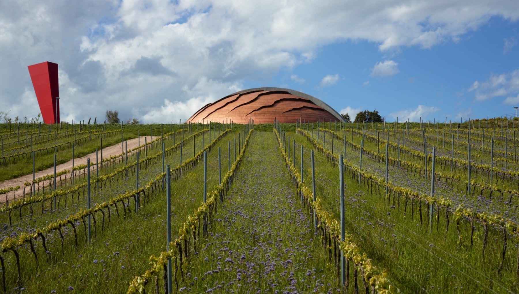 Quella cantina è una scultura: il Carapace della Tenuta Castelbuono - Vimarsana News