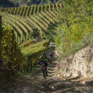 In bici sulle colline del Roero: 41 chilometri tra vigneti, osterie e ristoranti stellati
