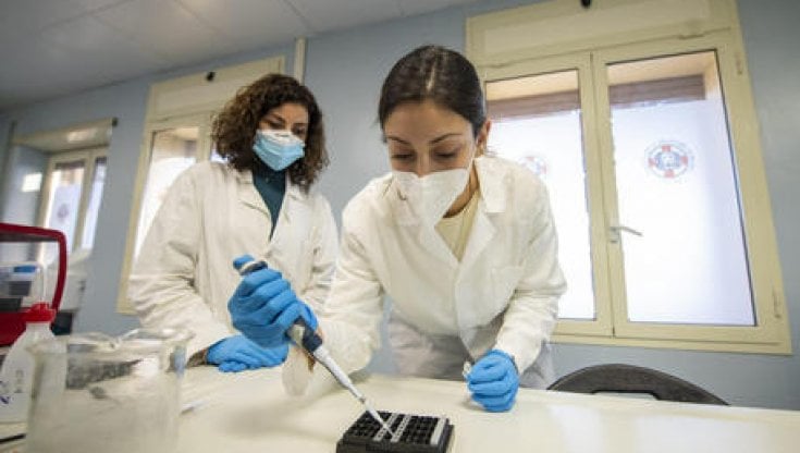 Covid, l'immunità potrebbe durare anni