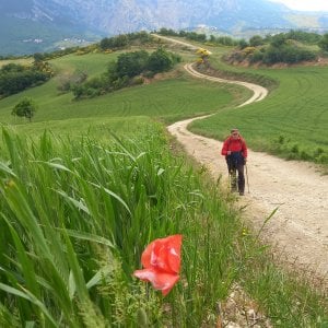 In cammino con San Francesco Caracciolo, patrono dei cuochi, per assaggiare quattro regioni