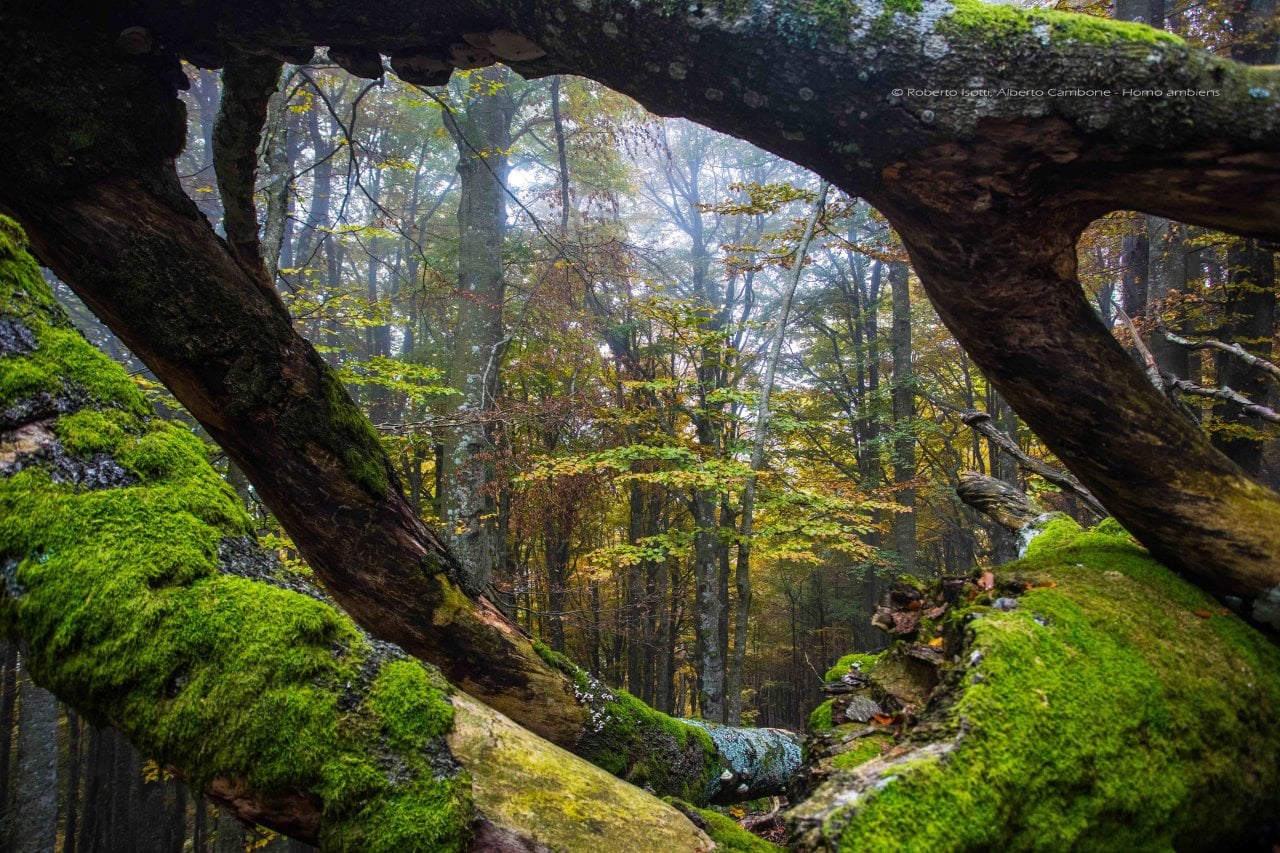 "Paradisi Naturali d'Italia"