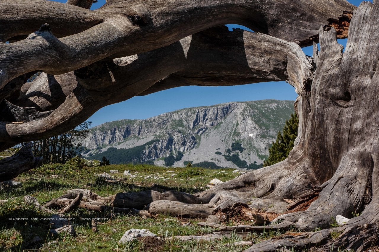 "Paradisi Naturali d'Italia"