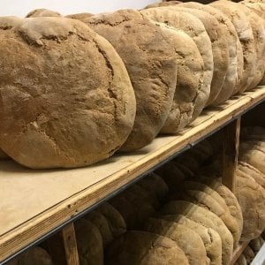 Lungo la via dei pani apuani ogni forno ha la sua specialità: dalla farina di castagne all'aglio nell'impasto