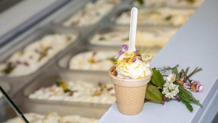Il gelato della biosfeara di Rizzardini, gelatiere zoldano da generazioni