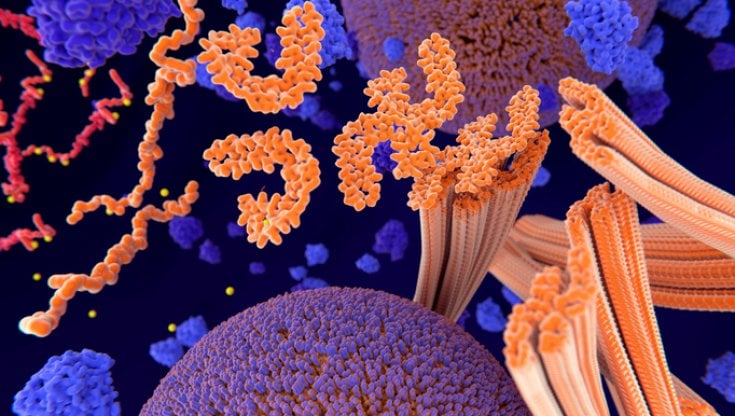 Alzheimer, nella dopamina la chiave per la diagnosi due anni prima che si manifesti la malattia