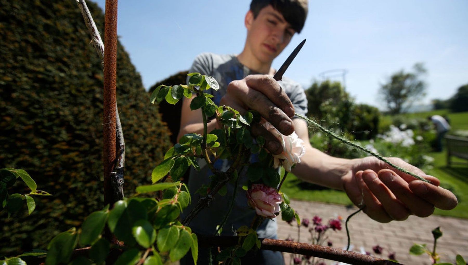 L'anacronistica stangata Iva per i giardinieri. E il bonus verde aggiunge la beffa al danno - Vimarsana News