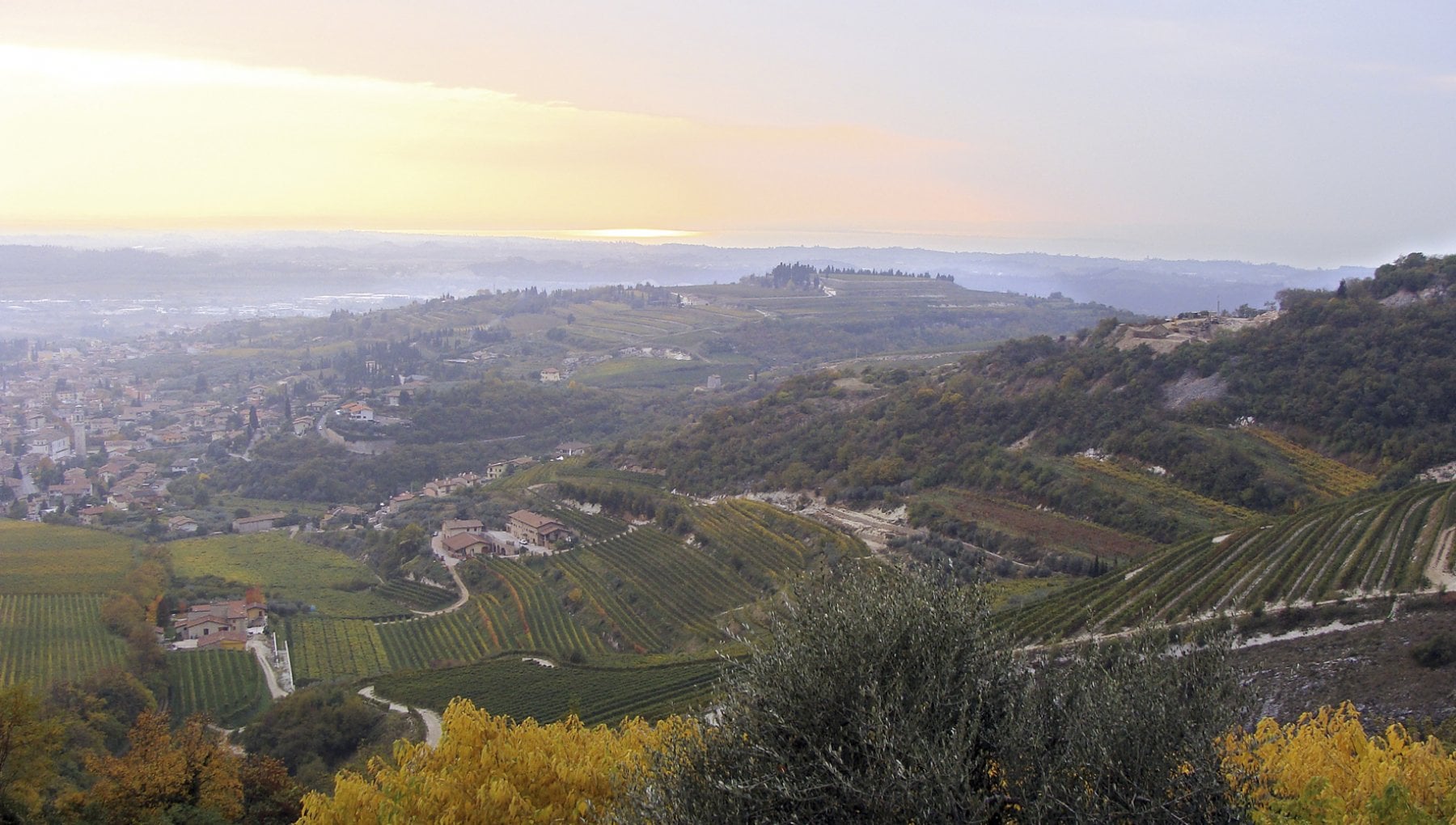Viaggio in Valpolicella, paradiso dei winelover dalle bollicine ai passiti - Vimarsana News