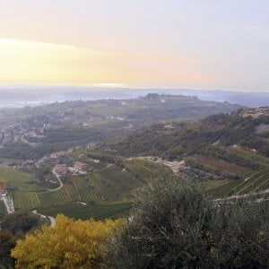Viaggio in Valpolicella, paradiso dei winelover dalle bollicine ai passiti